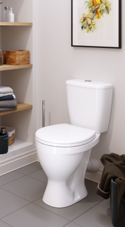 Унитаз-компакт Sanita Эталон эконом ETLSACC01090113 с бачком и стандартным сиденьем